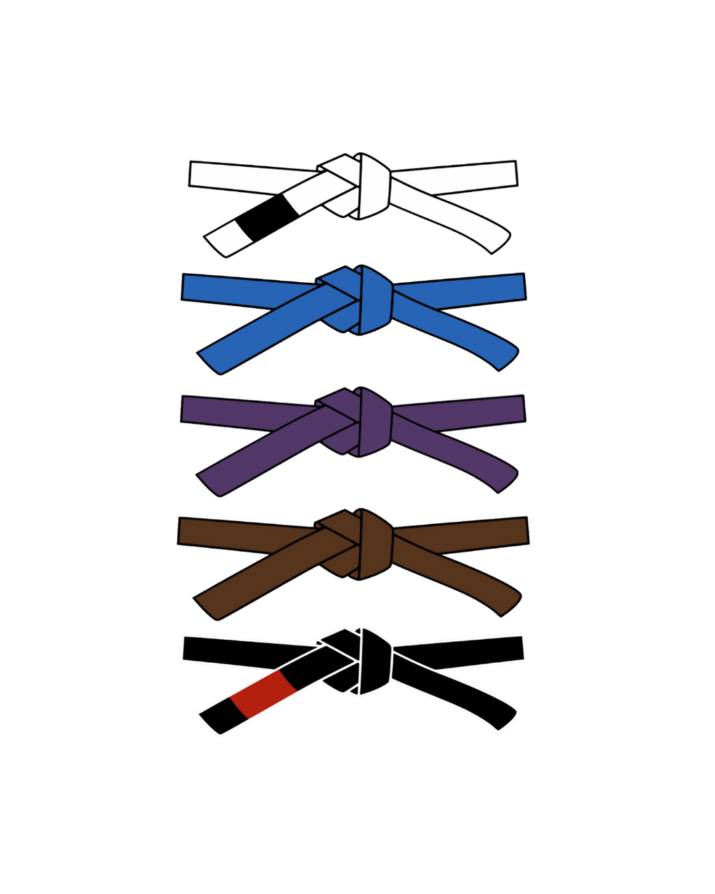 Jiu Jitsu Belts